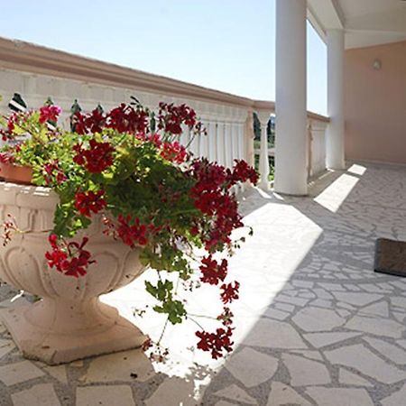 Di Vincenzo Inn Ulcinj Exteriör bild